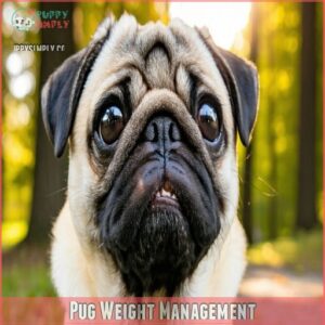 Pug Weight Management