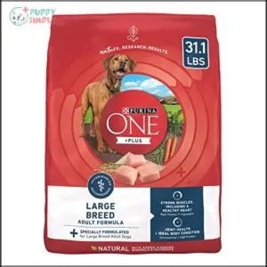 Purina ONE Plus Large Breed