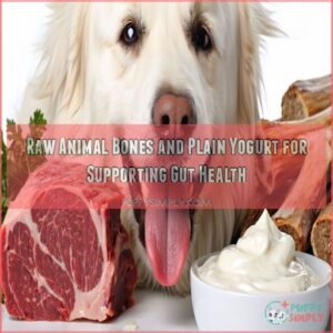 Raw Animal Bones and Plain Yogurt for Supporting Gut Health