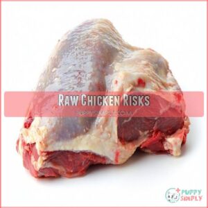 Raw Chicken Risks