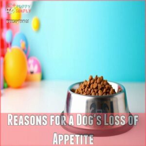 Reasons for a Dog