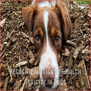 Recognizing Signs of Mulch Toxicity in Dogs