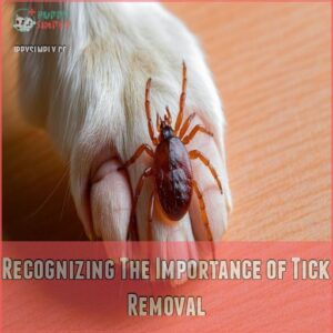 Recognizing The Importance of Tick Removal