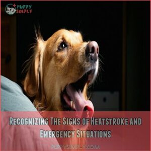 Recognizing The Signs of Heatstroke and Emergency Situations