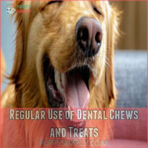 Regular Use of Dental Chews and Treats