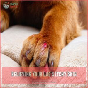 Relieving Your Dog