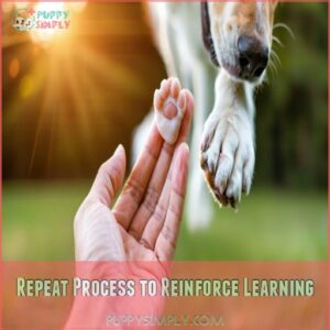 Repeat Process to Reinforce Learning