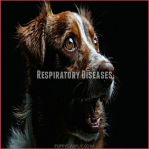 Respiratory Diseases