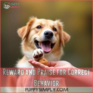 Reward and Praise for Correct Behavior