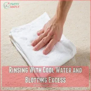 Rinsing With Cool Water and Blotting Excess