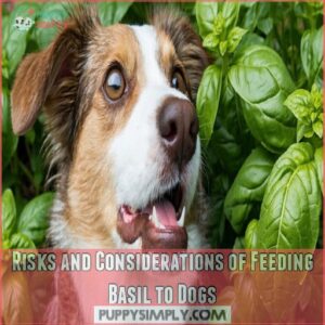 Risks and Considerations of Feeding Basil to Dogs