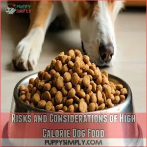 Risks and Considerations of High Calorie Dog Food