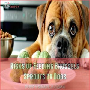 Risks of Feeding Brussels Sprouts to Dogs