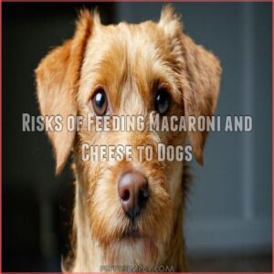 Risks of Feeding Macaroni and Cheese to Dogs