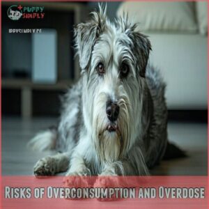 Risks of Overconsumption and Overdose