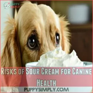 Risks of Sour Cream for Canine Health