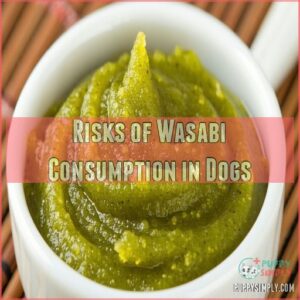 Risks of Wasabi Consumption in Dogs