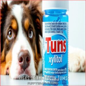 Risks of Xylitol in Tums