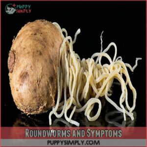 Roundworms and Symptoms