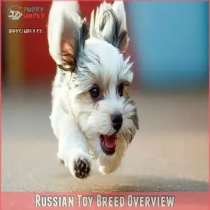 Russian Toy Breed Overview