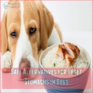 Safe Alternatives for Upset Stomachs in Dogs