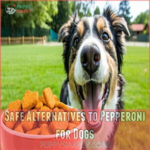 Safe Alternatives to Pepperoni for Dogs