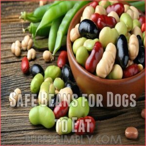 Safe Beans for Dogs to Eat