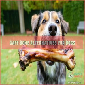 Safe Bone Alternatives for Dogs