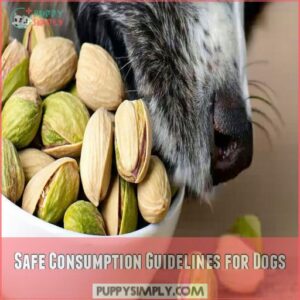 Safe Consumption Guidelines for Dogs