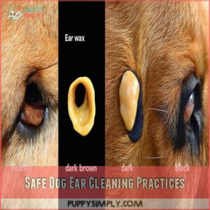 Safe Dog Ear Cleaning Practices