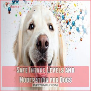 Safe Intake Levels and Moderation for Dogs