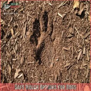 Safe Mulch Options for Dogs