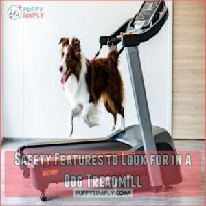 Safety Features to Look for in a Dog Treadmill