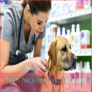 Safety Precautions for Flea Collars