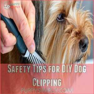 Safety Tips for DIY Dog Clipping