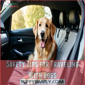 Safety Tips for Traveling With Dogs