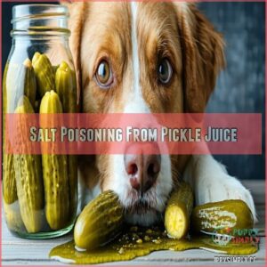 Salt Poisoning From Pickle Juice