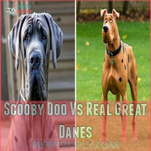 Scooby Doo Vs Real Great Danes