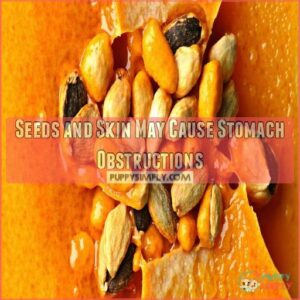 Seeds and Skin May Cause Stomach Obstructions