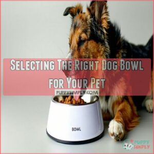 Selecting The Right Dog Bowl for Your Pet