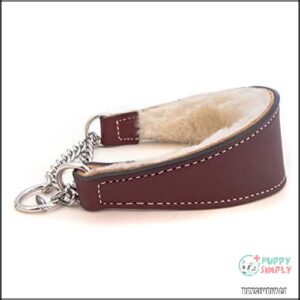 Sheepskin Lined Leather Martingale Dog