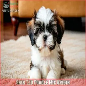 Shih Tzu Poodle Mix Origin