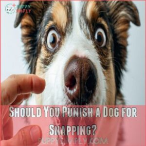 Should You Punish a Dog for Snapping