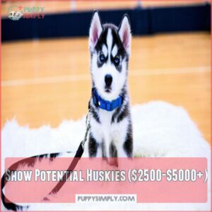 Show Potential Huskies (00-00+)