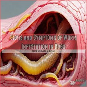 Signs and Symptoms of Worm Infestation in Dogs