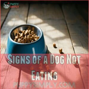 Signs of a Dog Not Eating