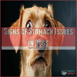 Signs of Stomach Issues in Dogs