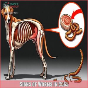 Signs of Worms in Dogs