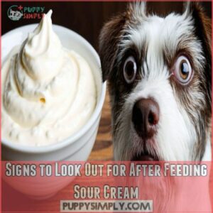 Signs to Look Out for After Feeding Sour Cream