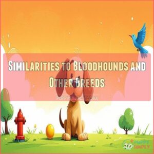 Similarities to Bloodhounds and Other Breeds